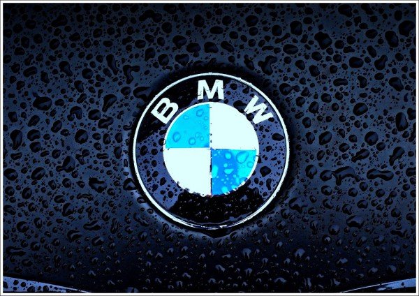 BMW logo description