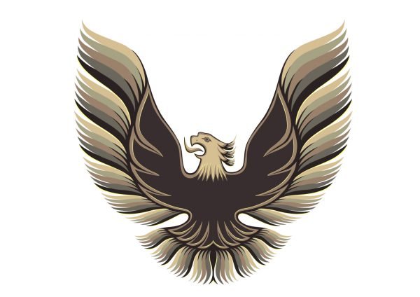 pontiac firebird logo