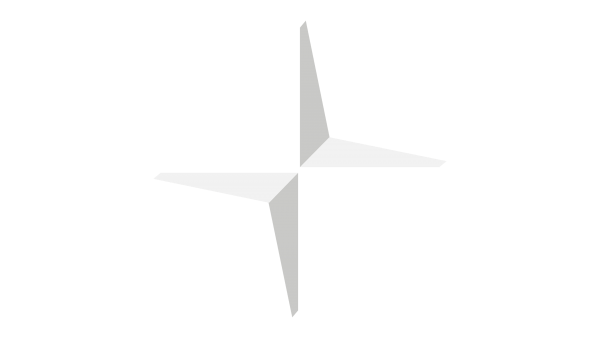 Logo Polestar